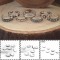 7Pcs Toe Rings Set Adjustable Knuckle Finger Foot Knot Vintage NICE Ring NEW